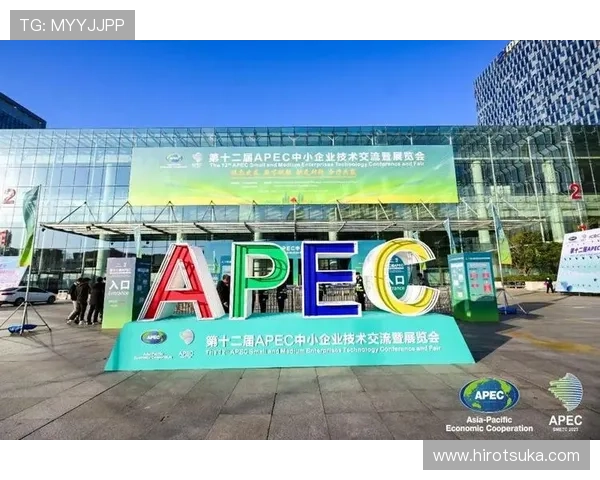 ag亚太厅中小企业专属展览项目，支持区域内企业拓展国际市场的实用措施介绍